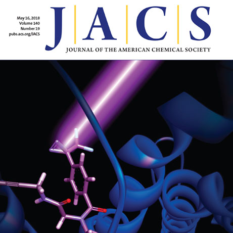 Optic Nerve - Preview