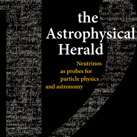 Optic Nerve - Preview