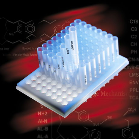 Optic Nerve - Preview