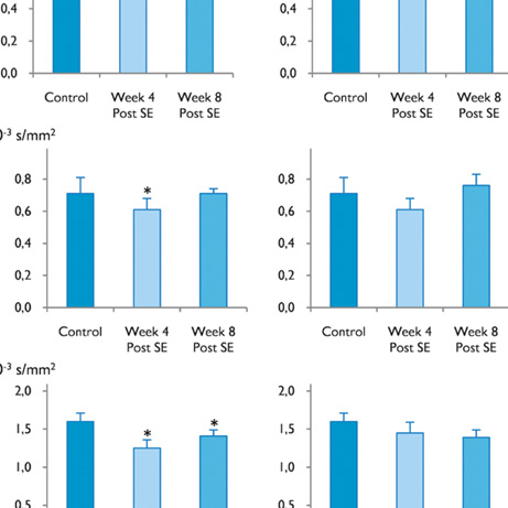 Optic Nerve - Preview