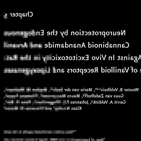 Optic Nerve - Preview