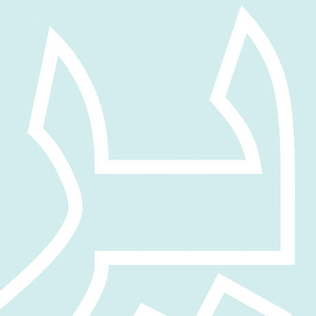 Optic Nerve - Preview