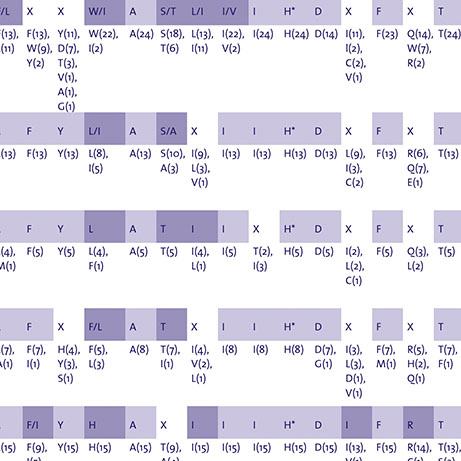 Optic Nerve - Preview
