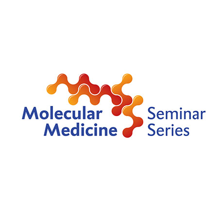 Optic Nerve - Preview