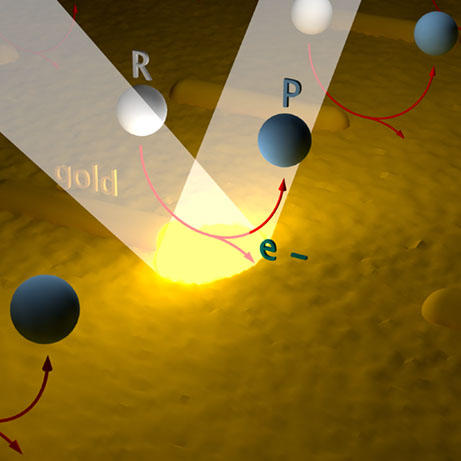 Optic Nerve - Preview