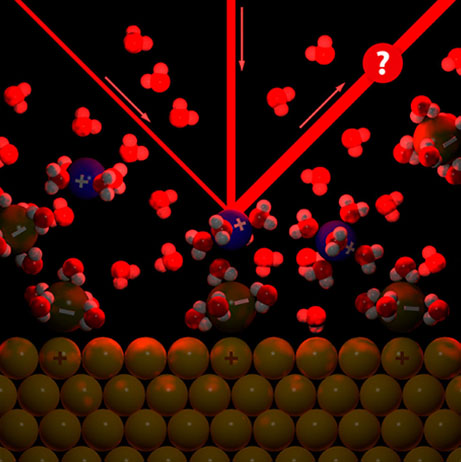 Optic Nerve - Preview