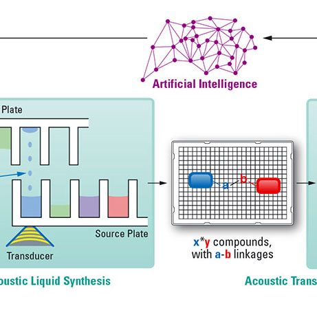 Optic Nerve - Preview