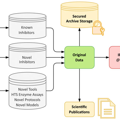 Optic Nerve - Preview