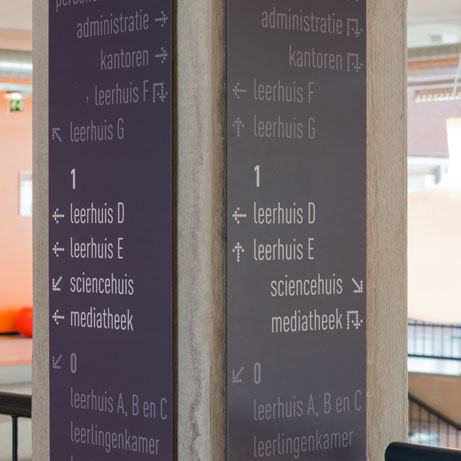 Optic Nerve - Preview