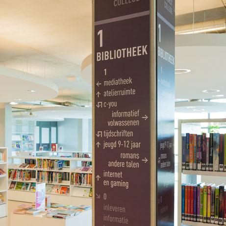 Optic Nerve - Preview