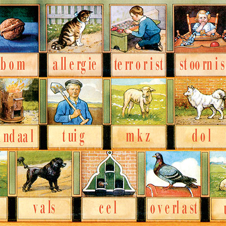 Optic Nerve - Preview